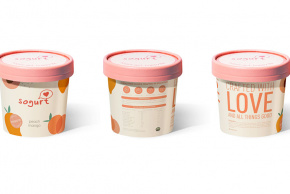 Sogurt Probiotic Froyo Ice-cream: Crafted With Love And All Things Good