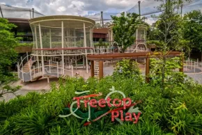Bird Paradise: Treetop Play