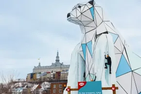 Nanouk, the Ice Climbing Polar Bear